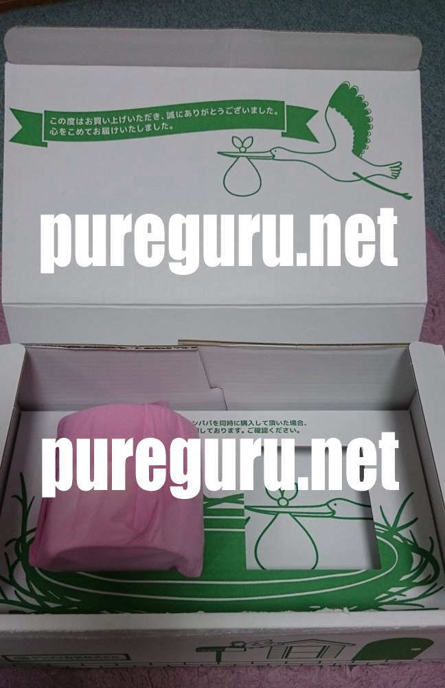 プレグルcb-1の段ボールを開梱した画像